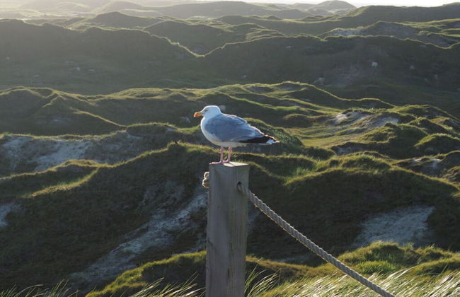 3 in het Huis Meerloft - Foto 12