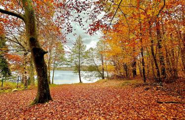 Gryfne Kaszuby - Foto 43