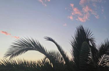 Valinco Locations OLMETO PLAGE - Foto 17