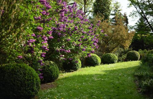 Dwor Trzesniow - Foto 29