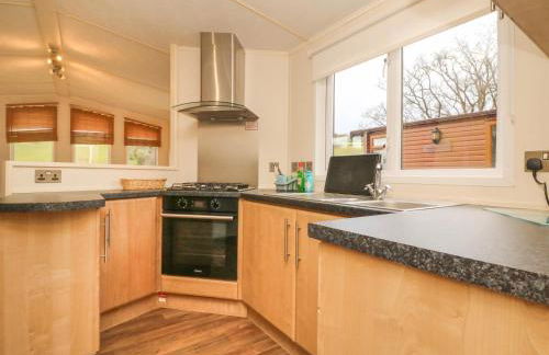 Exe Valley Lodge - Foto 7