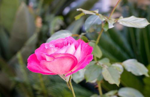 Futura Hotel - Foto 157