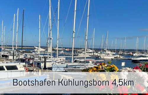 2 Zimmer App Dünengarten Lieblingsplatz Wg11 - Photo 28