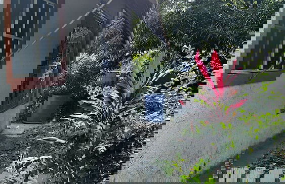 Kingston Oasis - Private House With Mountain Views - Foto 15