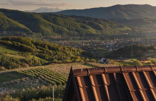 Domek Nad Sadem - Foto 18