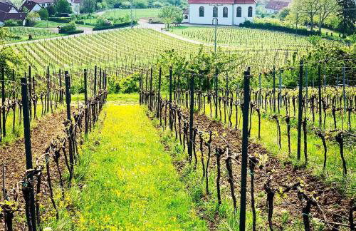 Villa Mandelblüte - Foto 17