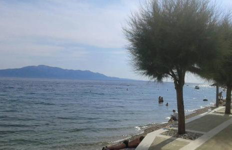 Sobe Stanković - Foto 21