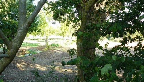 Les Plénitudes du Rivage - Foto 5