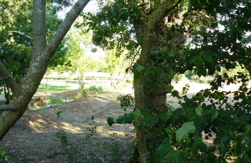 Les Plénitudes du Rivage - Foto 5