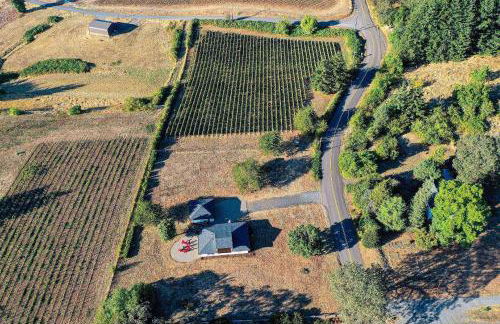 King's Queen - Foto 43