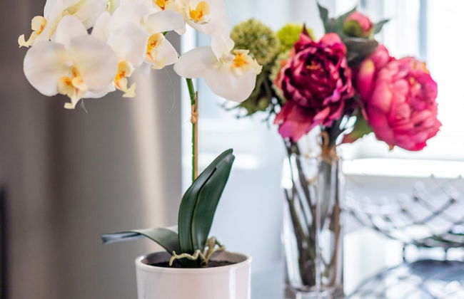 Villa Violeta 3 min walk to the beach - Foto 47