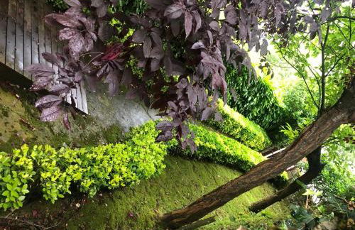 HdeC Hosteria de Castañeda Alojamiento Turistico - Foto 49