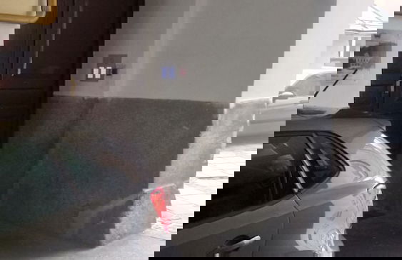 Harmony Gallery - Photo 23