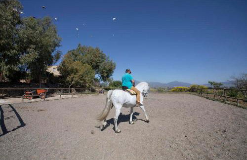 Bungalows-Cortijo Da Luigi-4 adultos-2 Dormitorios-Piscina-Ideal familias-Cártama-Málaga - Foto 6