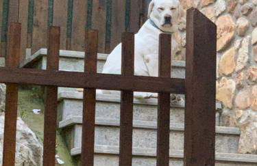 Posada El Pareón - Photo 33