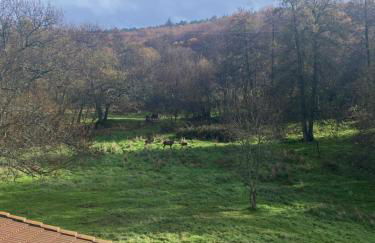 Casa del Bosque - Photo 7