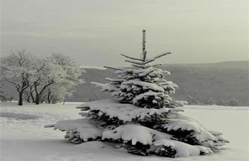 Bungalow auf dem Campingpark Waxweiler - Foto 33