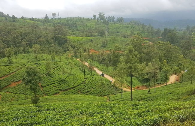 Residence Kuruniyavilla - Photo 80