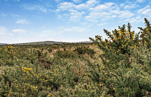 3 Bed in St. Breward oc-g28144 - Foto 24