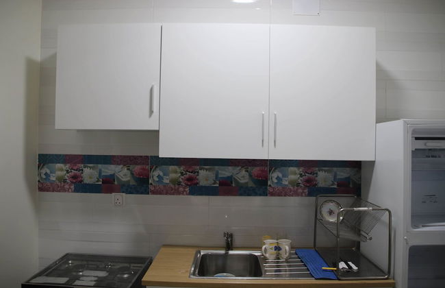 Alestiraha Elegant - Foto 6