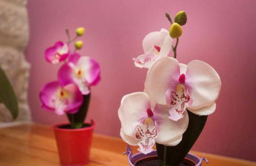 A Casa do Avó - Foto 9