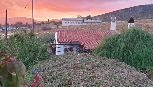 Foothills loft - Photo 2