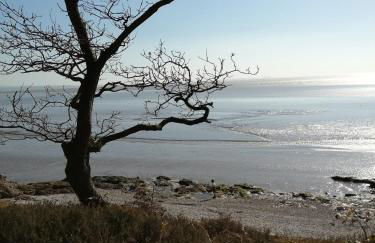 Field Edge Barn - Photo 10