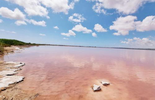 Charming House with Nature - Foto 32