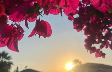 Nereid Bungalow - Foto 13