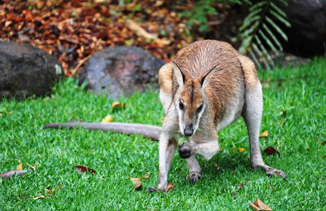 The Sanctuary Retreat - Foto 21