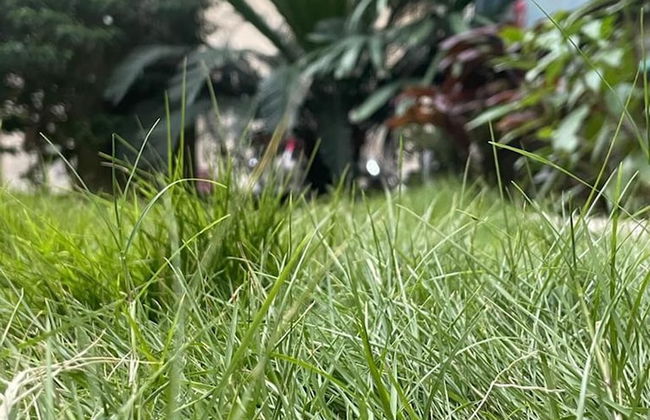 Warraich Villa gt Raod Gujrat Entire - Photo 44