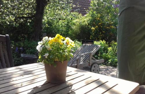 Holiday apartment 2 in the Maaßen country house - Foto 12