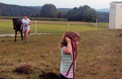 Ferienhof Landhaus Michael - Foto 57