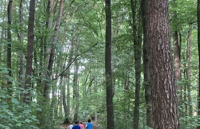 Villa Birrenbach Comfortable Vacation Home - Foto 20