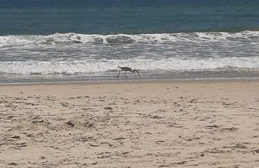 Casa completa perto da praia - Foto 12