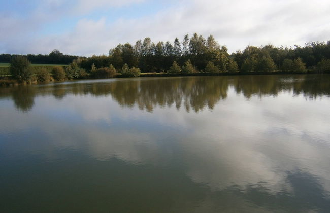 Holiday Home in Cul des Sarts - Foto 40