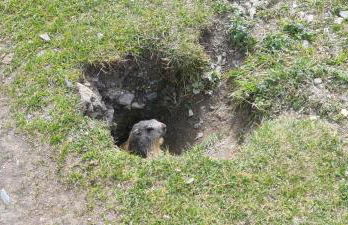 Appartement exceptionnel à Villar d'Arêne - Photo 9