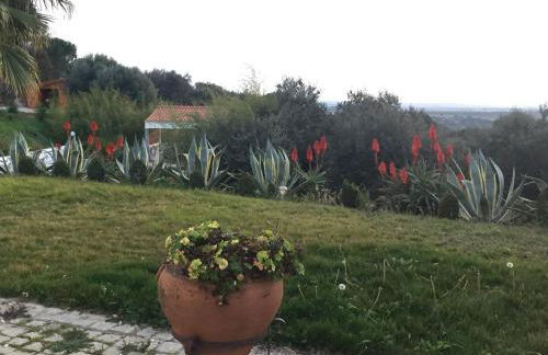 Holiday home Monte das Azinheiras - Foto 32