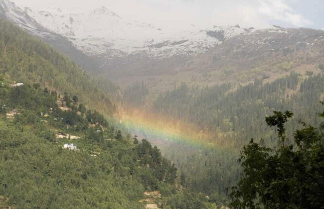 Mandawara - Shri Orchard House - Foto 26