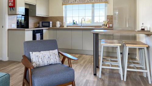 Ivy - Uk47373 - Foto 2