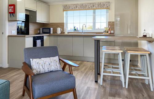 Ivy - Uk47373 - Foto 2