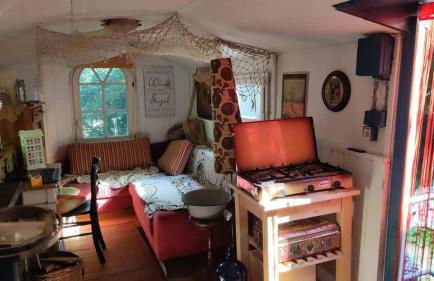 Trailer - DSCHUNGEL LODGE - Foto 2