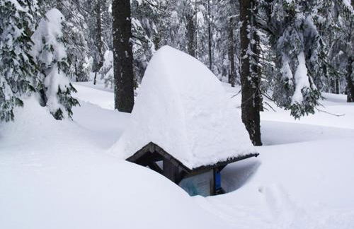 Haus Seidl - Foto 44