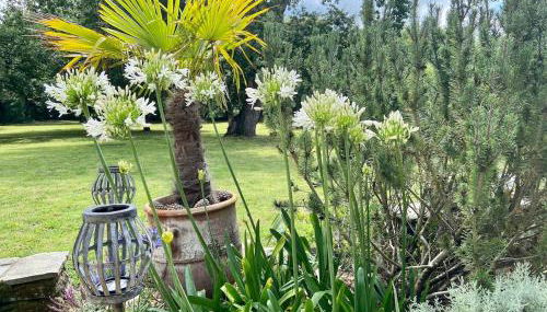Fleur de Sel, longère au calme , proche mer et plages - Foto 2, Garden, Garden view