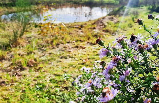 8 Person Holiday Home in Ulfborg - Foto 18