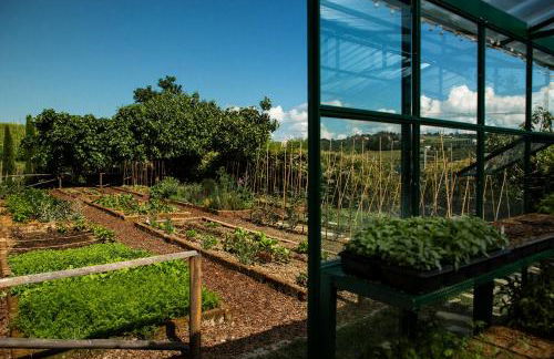 Coltivare AgriRelais - Photo 23