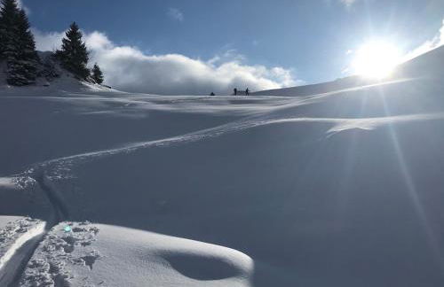 Ferienwohnungen Wagenstaller - Foto 67