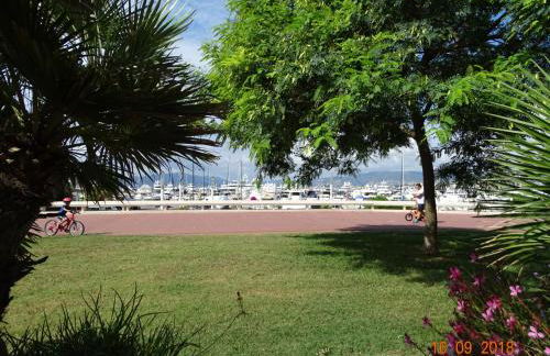 Palm beach Cannes Azur - Foto 31