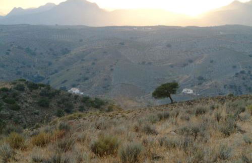 CASAS RURALES CORTIJO LEONTINO - Foto 27