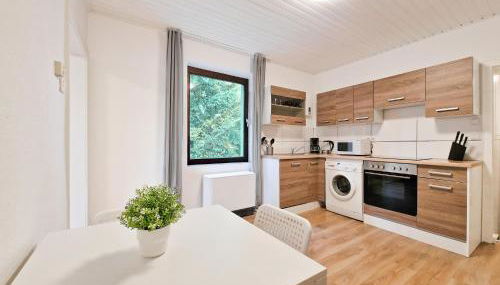 Tolstov Apartments - 1 , 2 and 3 Room Monteur Apartments - Photo 3, stove, dishwasher, pet friendly, minibar